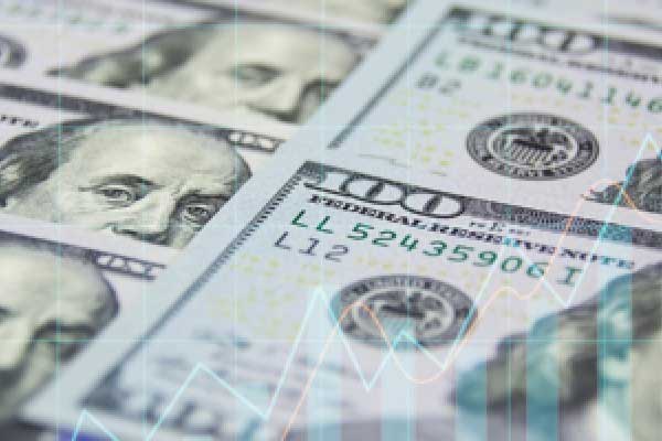 欧元占世界外汇储备的20.6%