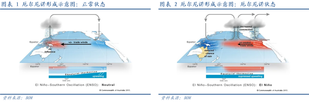 张瑜：五问“厄尔尼诺”